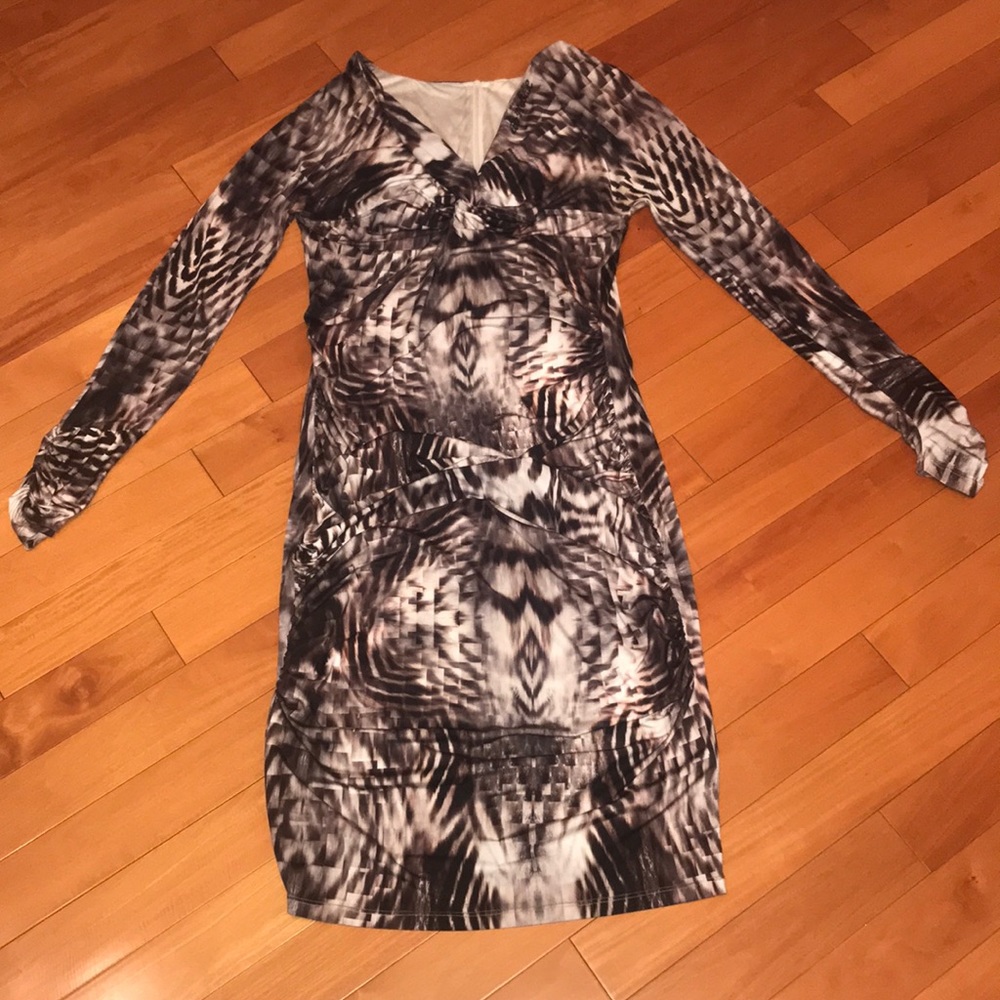 European Animal Print Long Sleeve Dress